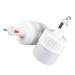 2pcs Rechargeable Lanterns Emergency LED Light Bulbs Tent Emergency Lights