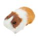 Guinea Pig Ornament Stuffed Toy Stuffed Animal Realistic Animal Model Guinea Pig Plush Toy Guinea Pig Toy Student