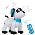 LE NENG TOYS Robot Voice Remote Toy Voice LE K21 Stunt Birthday Voice Stunt Toy Kids Toy Kids Birthday mewmewcat HUIOP ERYUE COMETX