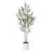 LOMANTO Artificial Olive Trees 5 ft Tall Fake Olive Trees for Indoor Faux Olive Silk Tree Large Olive Plants with White Planter for Home Decor and Housewarming Gift 1 Pack