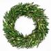 Preserved Decorative Real Boxwood Leaf and Olive Leaf Wreath 21 Inch - Green