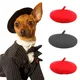 INS-Béret en laine pour animaux de compagnie accessoire de toilettage pour chien mini chapeau