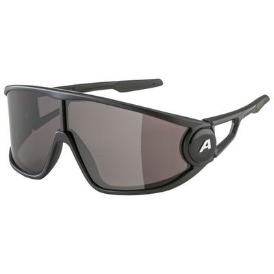 Alpina - Legend Cat. 3 - Sonnenbrille grau Image