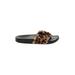 Steve Madden Sandals: Brown Leopard Print Shoes - Women's Size 9 - Open Toe