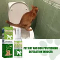 Spray d'entraînement pour animaux de compagnie inducteur pour chien caca chat pipi