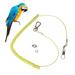 Leash Bird Accessories for Parrots and Birds Pet Items Belt Small Tiger Skin