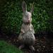 Susoonfo Animal Ornaments Resin Rabbit Outdoor Statues Ornament Decoration Garden Sculpture Easter Statues Decor Lovely Statues Animals Figurines for Garden Courtyard