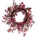 Christmas Holiday Decorative Wreath 20 Diameter Frosted Berry