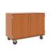 Stevens ID Systems Mobiles 12 Compartments Classroom Cabinet w/ Casters Wood in Brown | Wayfair 80240 F36-041