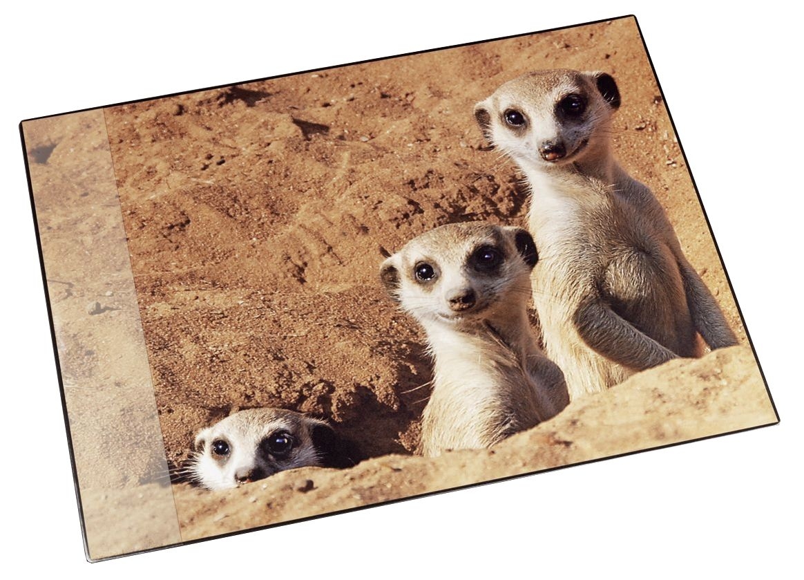 Läufer 46596 Schreibunterlage Motiv Erdmännchen Image