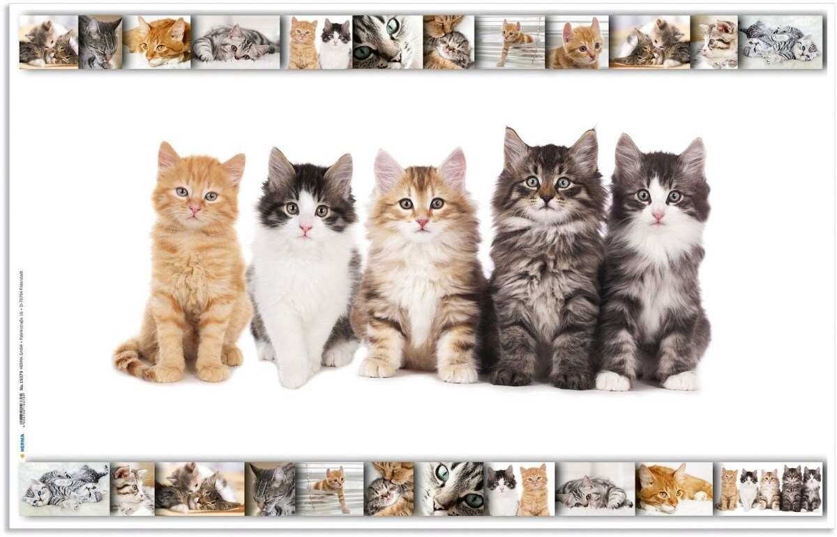 HERMA Schreibunterlage 55x35cm Katzen Image