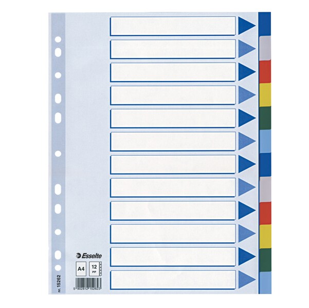 Esselte 15262 Register - blanko, A4, PP, 12-teilig + Deckblatt, farbig Image