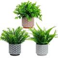 Artificial Potted Plants 3Pack Realistic Ferns Plants Plastic Rosemary Plants Potted in Pot Fake Small Eucalyptus Greenery for Office Desk Kitchen Bedroom Bathroom Outdoor Indoor Home Decor