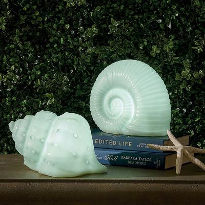 Pre-Lit Tabletop Shells - Conch Shell - Grandin Road