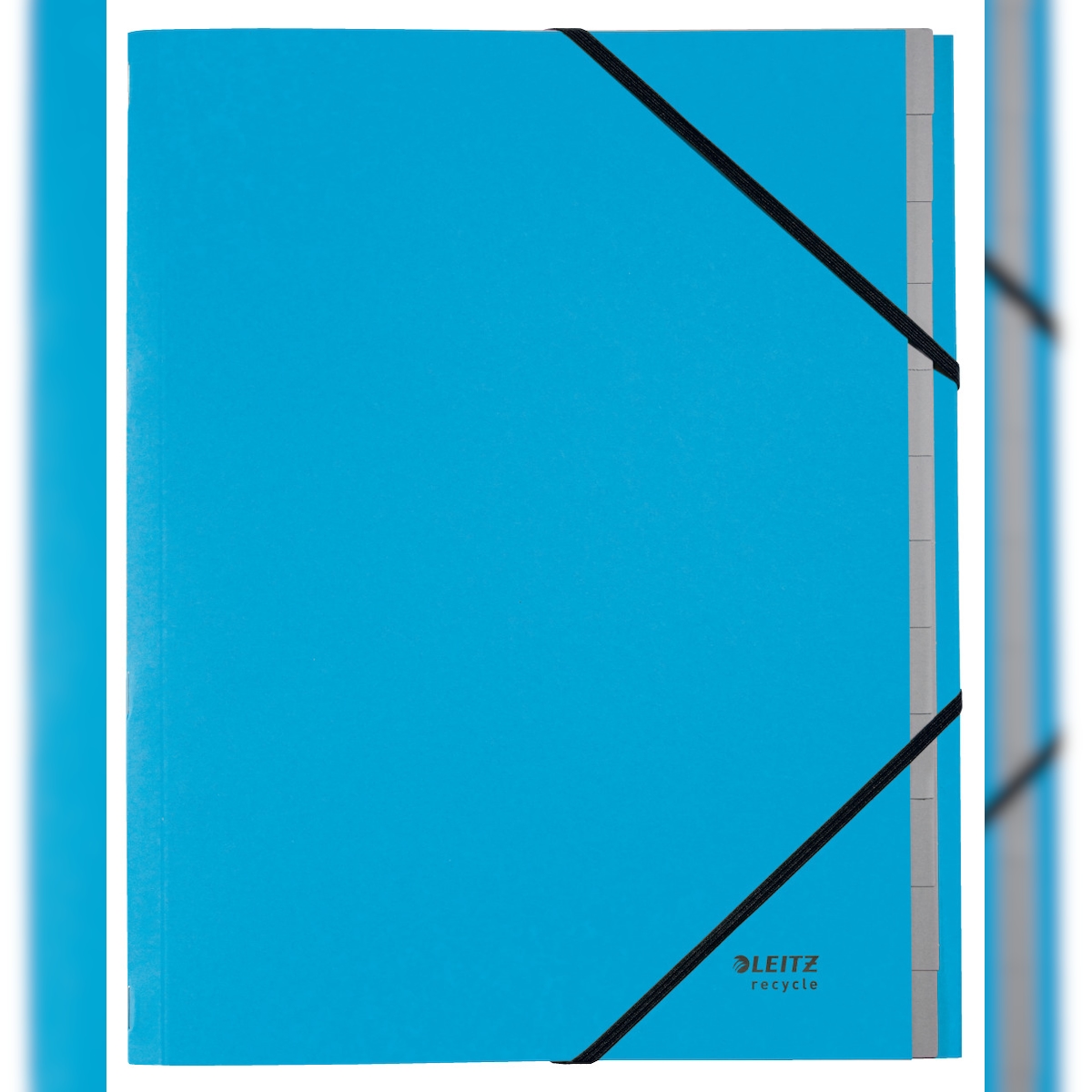 LEITZ Ordnungsmappe Recycle A4 12 Fächer Karton blau Image