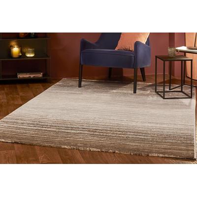 Teppich LUXOR LIVING "Malmö 3", grau (grau,braun), B:120cm H:9mm L:170cm, Obermaterial: 70% Polypropylen, 30% Polyester, Teppiche, modernes Design, Farbverlauf, Hoch-Tief Effekt, Wohnzimmer Image