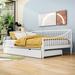 Wildon Home® Deshaunta Full Size Wooden Daybed w/ Twin Size Trundle Wood in White | 33 H x 58 W x 80 D in | Wayfair