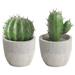 2 Pcs Artificial Cactus Home Decor Plastic Plant Decor Fake Cactus Fake Plant Decoration Cactus Decor Office