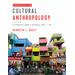 Essentials Of Cultural Anthropology A Toolkit For A Global Age E