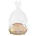 Decor Plants Glass Display Dome Cloche 4 Count Preserved Flower Cover Bell Shaped White