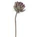 Vickerman 21.5" Light Brown Protea Stem 2/Bag 21.5 Plant Plastic | 21.5 H x 7 W x 21.5 D in | Wayfair FXT234766