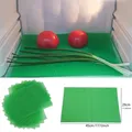 Éponge de réfrigérateur anti-moisissure filtre en coton pour livres tampon vert