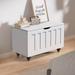 Rebrilliant Marquice Manufactured Wood Accent Trunk Manufactured in White | 19.5 H x 29.92 W x 15.7 D in | Wayfair 09BDD1E11CD44D05B465B42F37C751CC