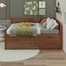 Red Barrel Studio® Daybed w/ Drawers & Shelves Wood in Brown | 34.3 H x 57.6 W x 77.8 D in | Wayfair C51FB2B49A5F47DFB9FA27A4E1263AB9