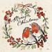 The Holiday Aisle® Christmas Lovebirds V Paper, Solid Wood in Green/Red/White | 30 H x 30 W x 1.25 D in | Wayfair B97871D1D98C4C6F906CEA5D9449EE72