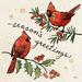 Winston Porter Christmas Lovebirds X - Print Paper, Solid Wood in Green/Red | 12 H x 12 W x 1.25 D in | Wayfair 9036499932D94E9FA99F5C38C3A2D9ED