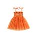 Girls Halloween Slip Dress Tie-up Sleeveless Pumpkin Print Tulle Dress