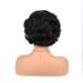 Short Roll Curly Hair Wig Fashion Natural Wig High Temperature Wire 9.84In Short Wig For Women Daily Lifeparties Festivals Synthetic