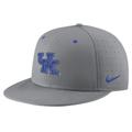 Men's Nike Gray Kentucky Wildcats USA Side Patch True AeroBill Performance Fitted Hat