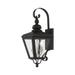 Livex Lighting - Adams - 2 Light Outdoor Medium Wall Lantern In Farmhouse