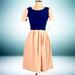 Lularoe Dresses | Nwt Lularoe Amelia Pinup Housewife Midi Dress | Color: Blue/Pink | Size: S