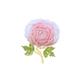 Brooch Pins Peony Brooch Coat Sweater Cardigan Pin Women Temperament Clothing Decoration Brooch - for Ladies Birthday Wedding Prom Jewellery Corsage for Women Girls Costume Accessory