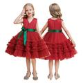 KYAIGUO 18m-7y Baby Girls Princess Tulle Dresses Lace Wedding Bridesmaid Dress V-Neck Princess Dress Bridesmaid Dress