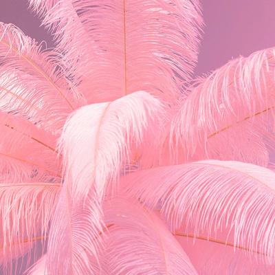 KARE Design Stehlampe Feather Palm, messing / gold, für Wohn- / Esszimmer, Metall, Design, Stehlampe Image