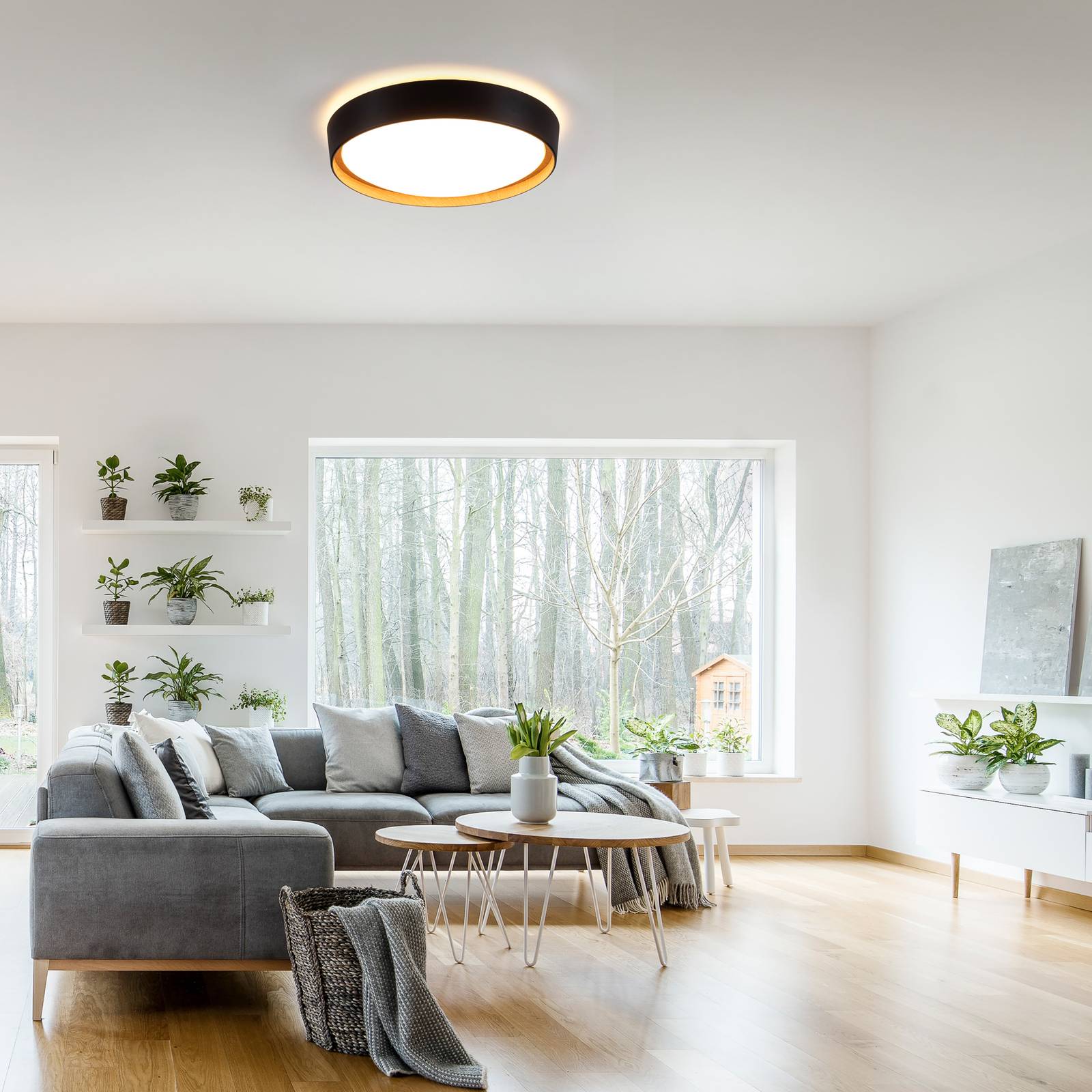 JUST LIGHT. GmbH LED Deckenlampe Emilia, dimmbar, schwarz, für Wohn- / Esszimmer, Metall, Modern, LED Deckenleuchte