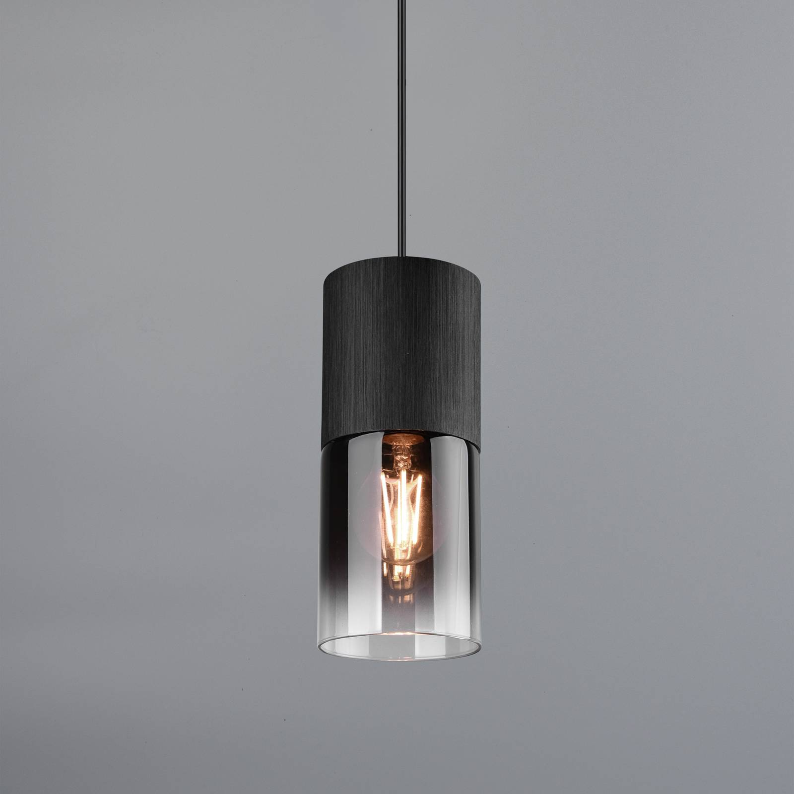 Trio Lighting Schienen-Hängeleuchte Robin für DUOline, schwarz/rauchgrau Robin, dimmbar, schwarz, für Wohn- / Esszimmer, Metall, Modern, Schienensysteme