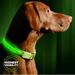 ILLUMISEEN LED Dog Collar USB Rechargeable ? Bright & High Visibility Lighted Glow Collar for Pet Night Walking ? Weatherproof in 6 Colors & 6 Sizes (Green XX-Small)