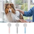 Brosse de toilettage pour chat non ald pour perte de cheveux plus riche LED massage