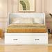Red Barrel Studio® Bemadette Solid Wood+MDF Murphy Storage Bed Wood in White | 37.2 H x 55.9 W x 81.1 D in | Wayfair