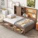 Drawers Daybed Frame Mattress Foundation - Twin - Brown
