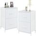 Nightstand Set of 2 with 2 Drawers