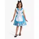 Disney Alice in Wonderland Costume