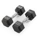 10 Lb Rubber Hex Dumbbell, PAIR