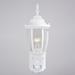 Rogers Park Aluminum 6.25-in. W 1 Light Motion Sensor Dusk to Dawn Outdoor Wall Lantern Clear Glass