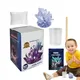 Crystal Lauren Science Kit for Kids Expériences Lab Toys Stem Project Toy Executive Kit