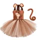 Robe Tutu en Maille de Singe Animal pour Enfants Costumes Cosplay de Journée des Enfants Costumes